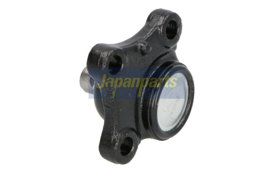 Rótula, Imagen 2