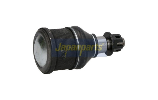 Rótula, Imagen 2