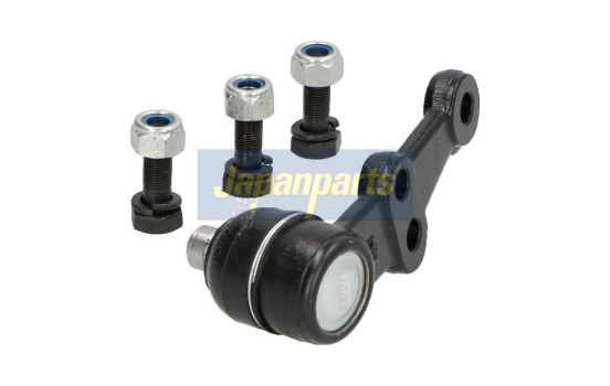 Rótula, Imagen 2