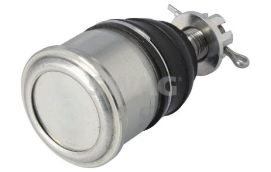Rótula, Imagen 2
