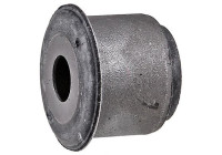 Cojinete del eje trasero 272003 ABS
