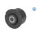 Cojinete del eje trasero