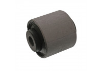Casquillo de cojinete, brazo de control ADG08080 Blue Print
