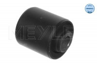 Casquillo de cojinete, brazo de control