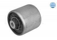 Casquillo de cojinete, brazo de control