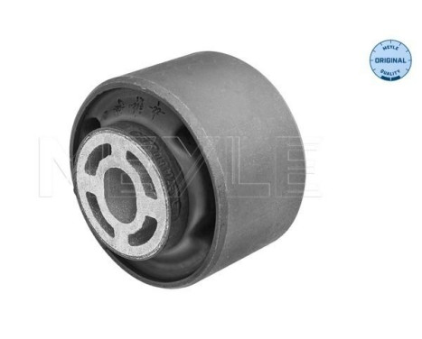 Casquillo de cojinete, brazo de control