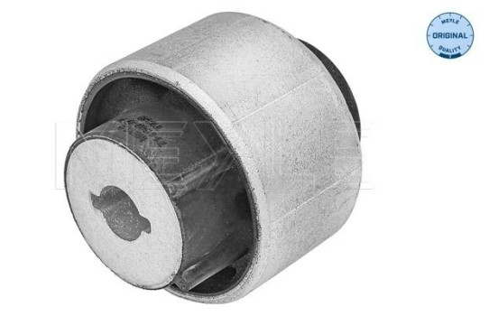 Casquillo de cojinete, brazo de control
