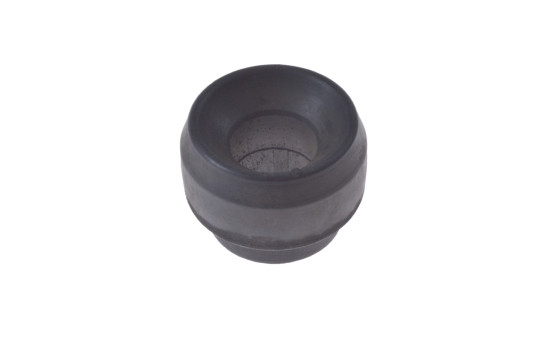 Cojinete del brazo de control ADJ138049 Blue Print
