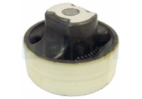 Goma brazo oscilante OND DRIEH WIELDRGARM TD646W Delphi