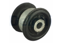 Goma de horquilla DRIEH WIELDRGARM TD977W Delphi