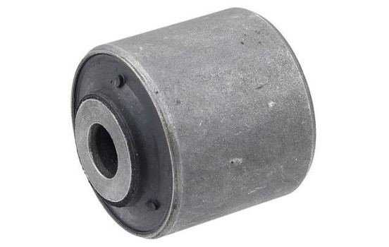 Goma del brazo de control 270019 ABS