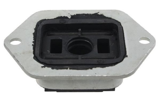 Goma del brazo de control 270821 ABS