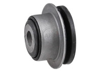 Goma del brazo de control 272018 ABS