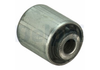 Goma del brazo de control TD1720W Delphi