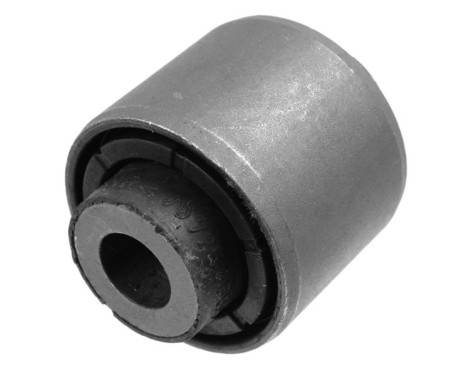 Goma del brazo de control