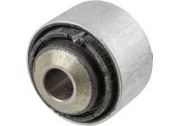 Goma del brazo de control