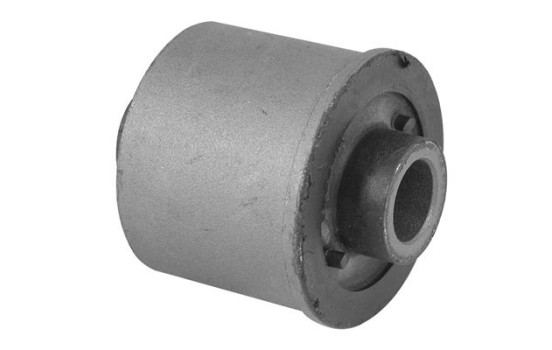 Goma del brazo de control