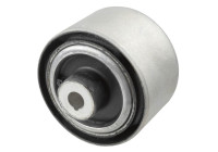 Goma del brazo de control