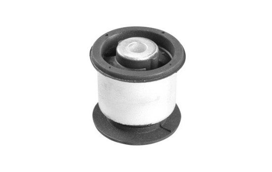 Goma del brazo de control