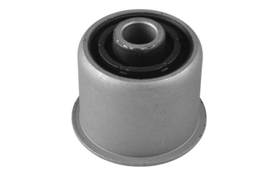 Goma del brazo de control