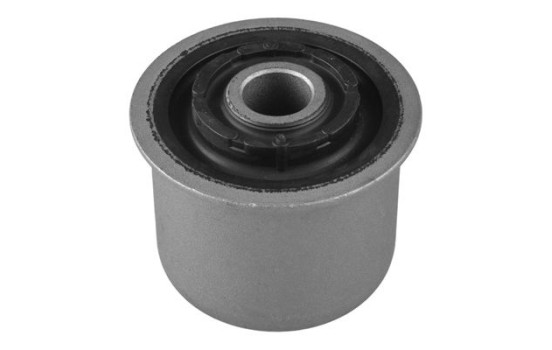 Goma del brazo de control, Imagen 2