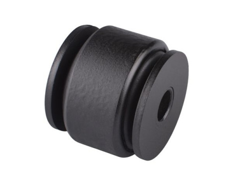 Goma del brazo de control