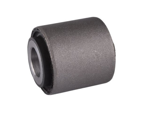 Goma del brazo de control