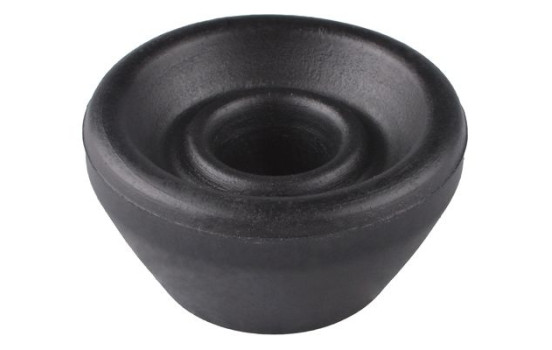 Goma del brazo de control, Imagen 2