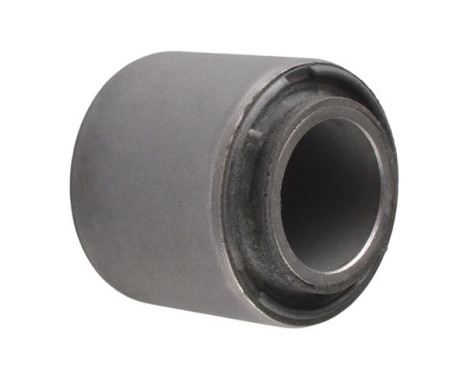 Goma del brazo de control