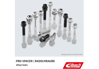 Tornillos de rueda Eibach 10 piezas