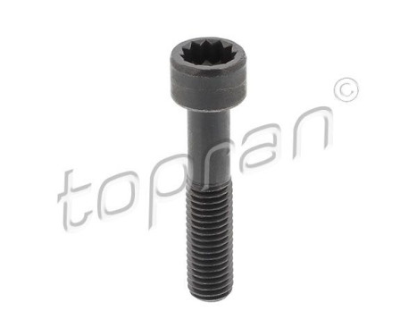 Tornillo, brida del eje de transmisión
