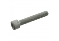 Tornillo del eje cardán