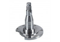 Astap 29656 FEBI