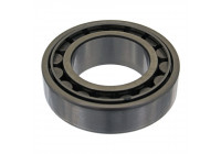 Cojinete de rueda 04843 FEBI