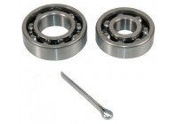 Cojinete de rueda 200232 ABS