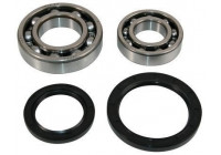 Cojinete de rueda 200523 ABS