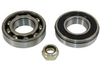 Cojinete de rueda 200530 ABS
