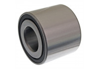 Cojinete de rueda 21843 FEBI