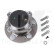 Cojinete de rueda 762547 NK