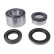 Cojinete de rueda ADC48364 Blue Print