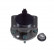 Cojinete de rueda ADJ138306 Blue Print