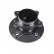Cojinete de rueda ADT38370 Blue Print