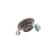 Cojinete de rueda VKBA 6541 SKF, Miniatura 2