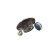 Cojinete de rueda VKBA 6725 SKF