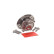 Cojinete de rueda VKBA 6781 SKF