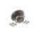 Cojinete de rueda VKBA 6786 SKF