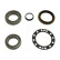 Cojinete de rueda WBK-9055 Kavo parts, Miniatura 2