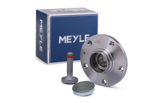 Cubo de rueda 100 752 0003 Meyle