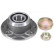 Cubo de rueda 200025 ABS