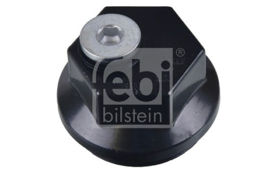 Funda protectora, cubo de rueda 172480 FEBI